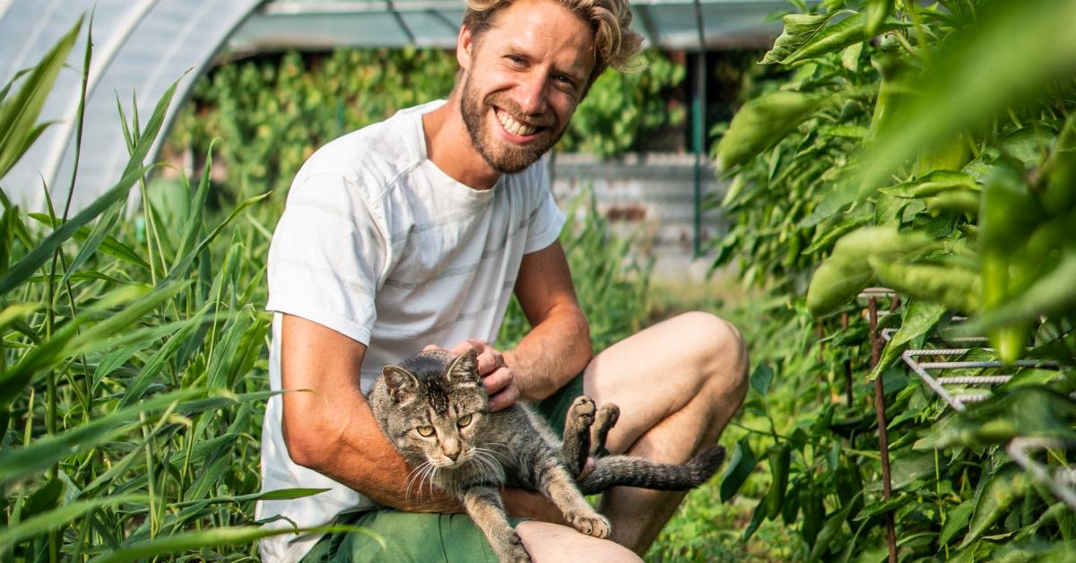 BioGärtnerei mit Hofladen mitten in der Gärtnerstadt Bamberg